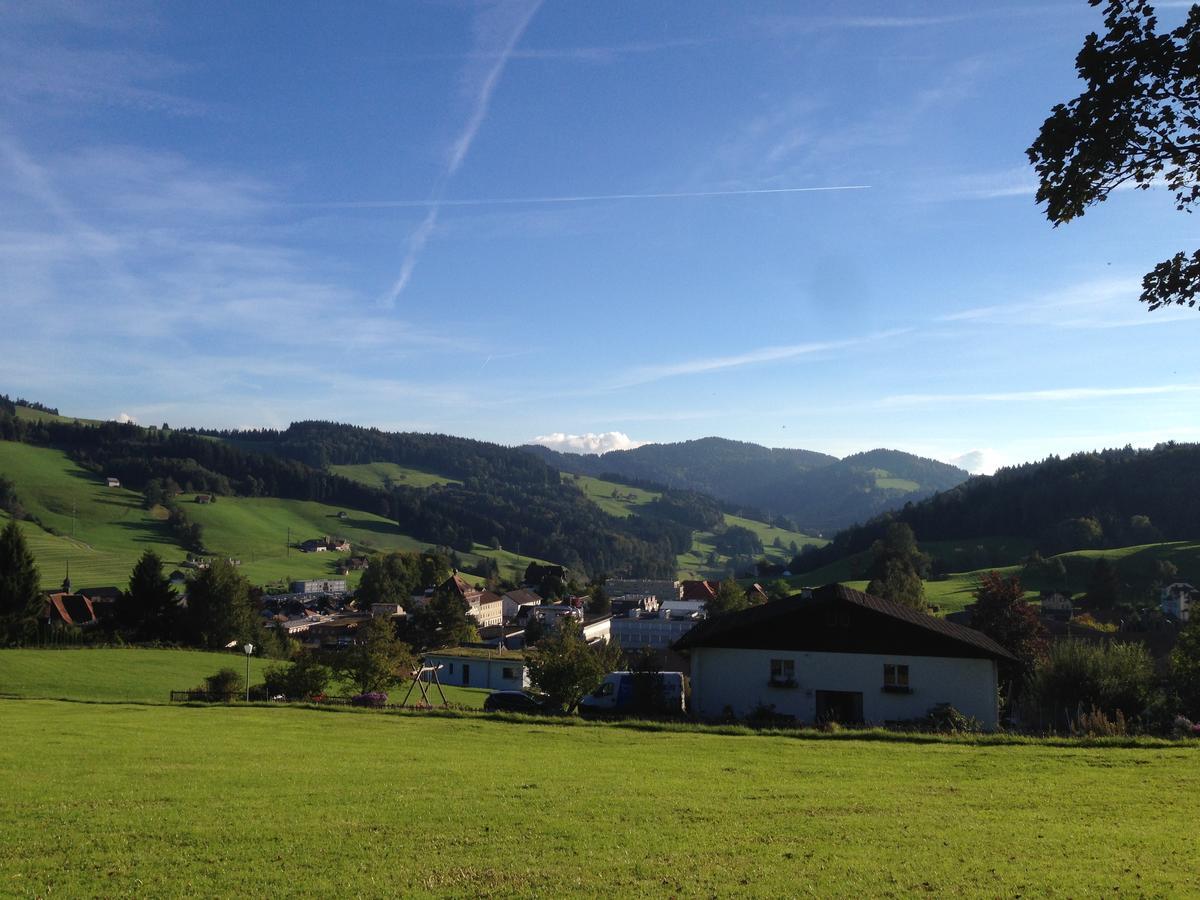 Villa Donkey Chalet Degersheim Kültér fotó